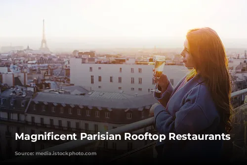 Magnificent Parisian Rooftop Restaurants