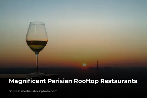 Magnificent Parisian Rooftop Restaurants