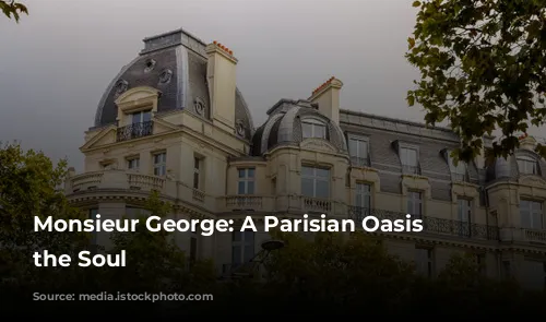 Monsieur George: A Parisian Oasis for the Soul