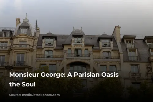 Monsieur George: A Parisian Oasis for the Soul