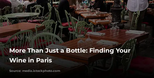 More Than Just a Bottle: Finding Your Perfect Wine in Paris