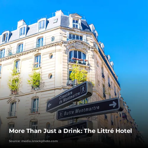 More Than Just a Drink: The Littré Hotel Bar