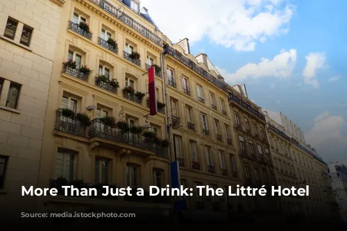 More Than Just a Drink: The Littré Hotel Bar