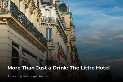 More Than Just a Drink: The Littré Hotel Bar