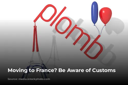 Moving to France? Be Aware of Customs Restrictions!