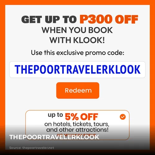 THEPOORTRAVELERKLOOK