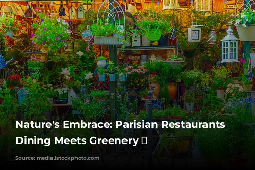 Nature's Embrace: Parisian Restaurants Where Dining Meets Greenery 🌿