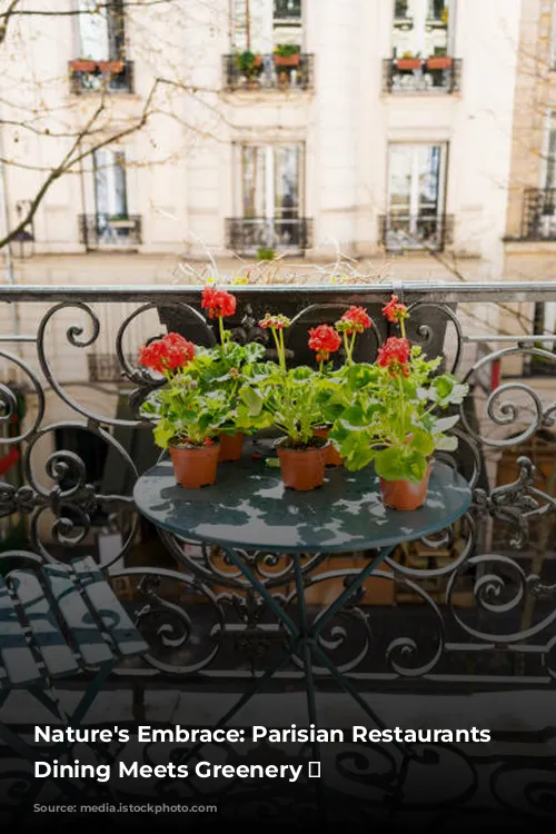 Nature's Embrace: Parisian Restaurants Where Dining Meets Greenery 🌿