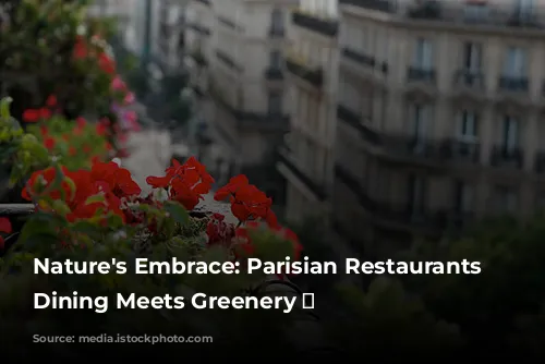 Nature's Embrace: Parisian Restaurants Where Dining Meets Greenery 🌿