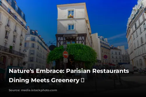 Nature's Embrace: Parisian Restaurants Where Dining Meets Greenery 🌿