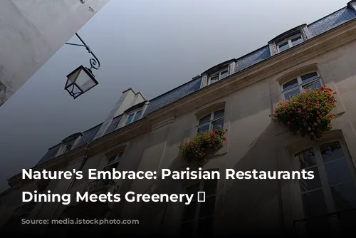 Nature's Embrace: Parisian Restaurants Where Dining Meets Greenery 🌿