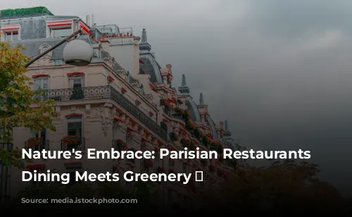 Nature's Embrace: Parisian Restaurants Where Dining Meets Greenery 🌿