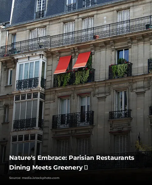 Nature's Embrace: Parisian Restaurants Where Dining Meets Greenery 🌿