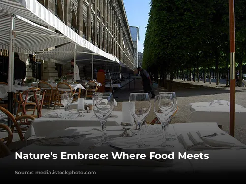 Nature's Embrace: Where Food Meets Flora