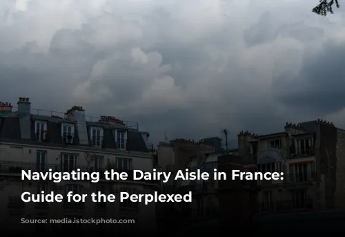 Navigating the Dairy Aisle in France: A Guide for the Perplexed