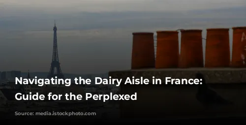 Navigating the Dairy Aisle in France: A Guide for the Perplexed