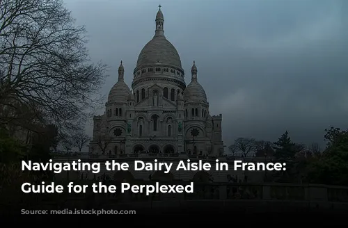 Navigating the Dairy Aisle in France: A Guide for the Perplexed