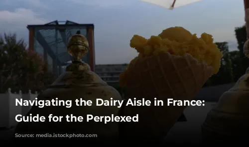 Navigating the Dairy Aisle in France: A Guide for the Perplexed