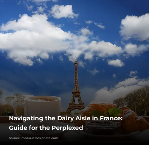 Navigating the Dairy Aisle in France: A Guide for the Perplexed