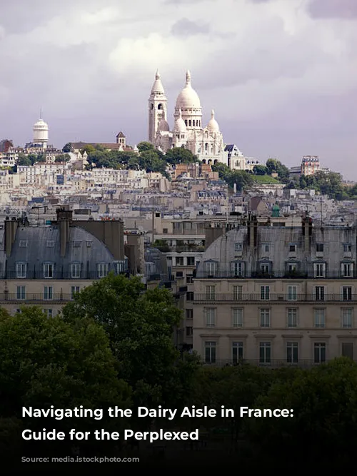 Navigating the Dairy Aisle in France: A Guide for the Perplexed