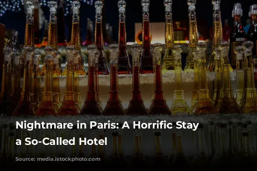 Nightmare in Paris: A Horrific Stay at a So-Called Hotel