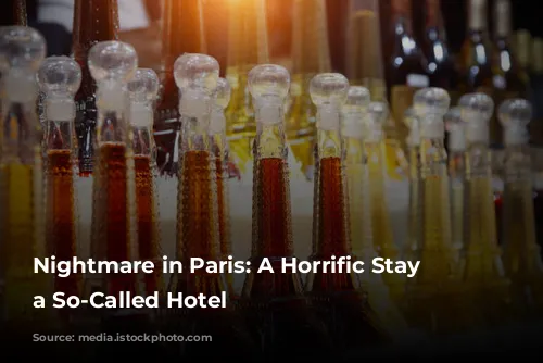 Nightmare in Paris: A Horrific Stay at a So-Called Hotel