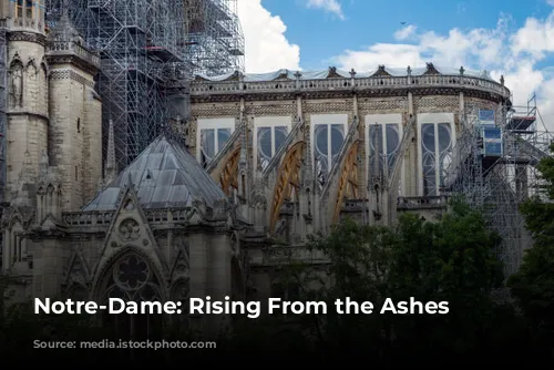 Notre-Dame: Rising From the Ashes