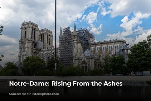 Notre-Dame: Rising From the Ashes