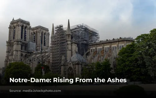 Notre-Dame: Rising From the Ashes