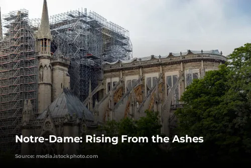 Notre-Dame: Rising From the Ashes