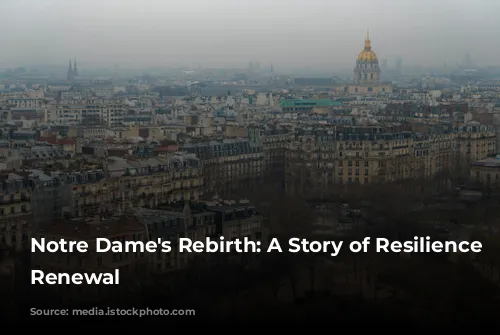 Notre Dame's Rebirth: A Story of Resilience and Renewal