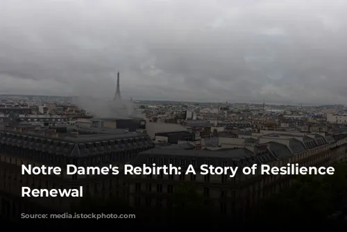 Notre Dame's Rebirth: A Story of Resilience and Renewal