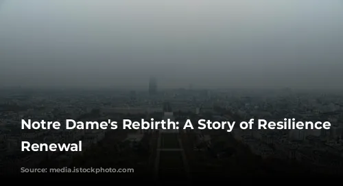 Notre Dame's Rebirth: A Story of Resilience and Renewal