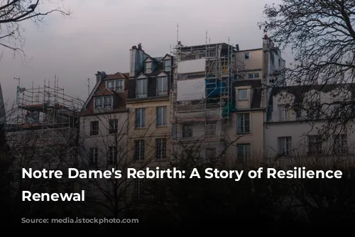 Notre Dame's Rebirth: A Story of Resilience and Renewal