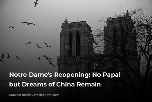 Notre Dame's Reopening: No Papal Visit, but Dreams of China Remain