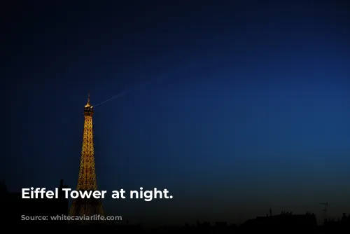 Eiffel Tower at night.