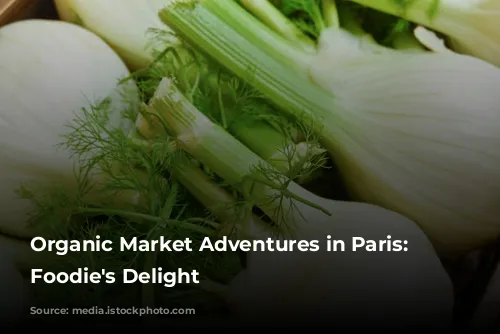 Organic Market Adventures in Paris: A Foodie's Delight