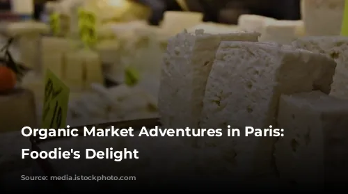 Organic Market Adventures in Paris: A Foodie's Delight