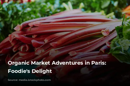 Organic Market Adventures in Paris: A Foodie's Delight