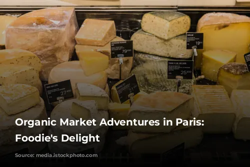 Organic Market Adventures in Paris: A Foodie's Delight