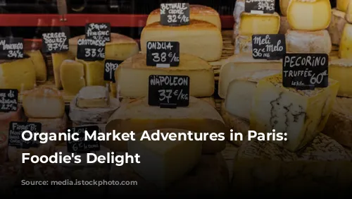 Organic Market Adventures in Paris: A Foodie's Delight