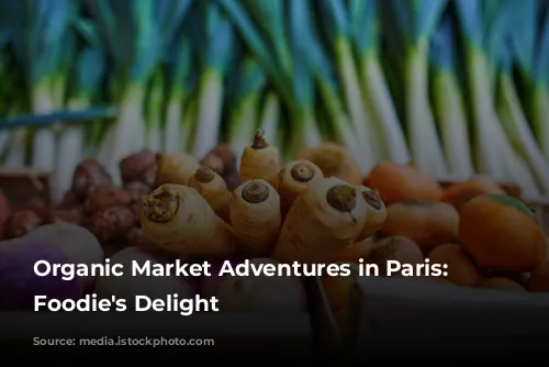 Organic Market Adventures in Paris: A Foodie's Delight