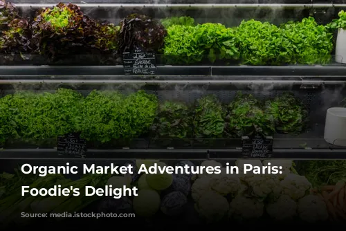 Organic Market Adventures in Paris: A Foodie's Delight