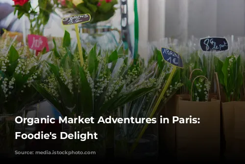 Organic Market Adventures in Paris: A Foodie's Delight