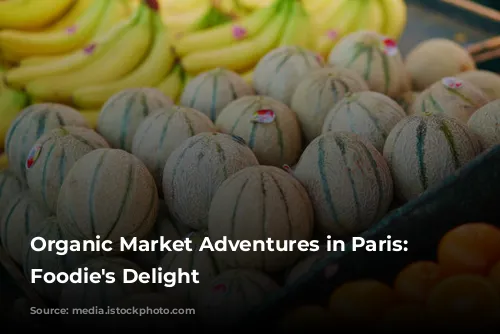 Organic Market Adventures in Paris: A Foodie's Delight