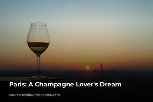 Paris: A Champagne Lover's Dream