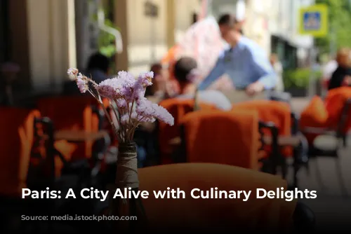 Paris: A City Alive with Culinary Delights