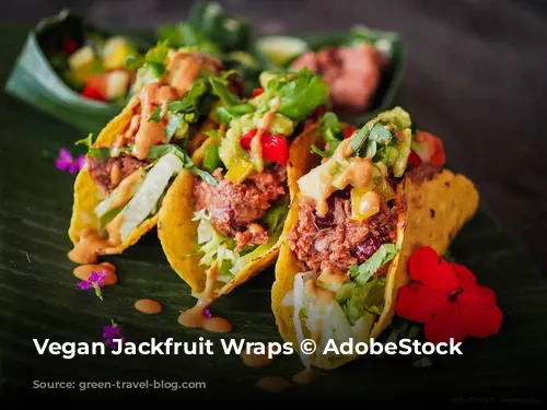 Vegan Jackfruit Wraps © AdobeStock shellygraphy