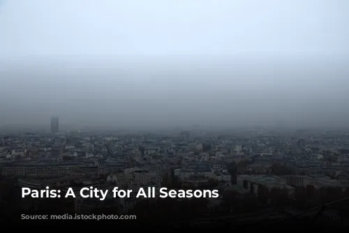 Paris: A City for All Seasons