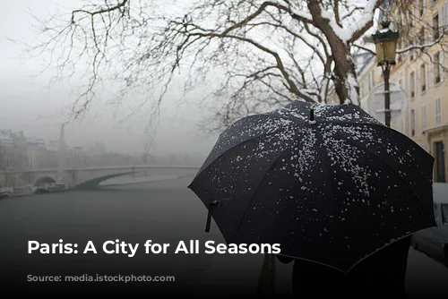 Paris: A City for All Seasons